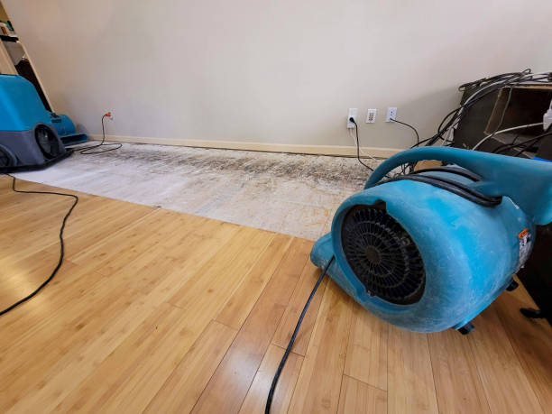 Professional Water Extraction technician working in Williamsport, MD